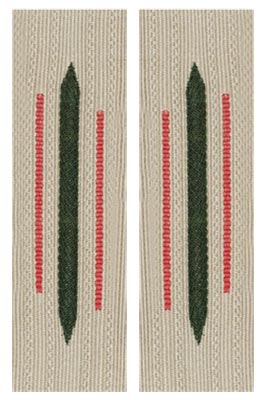 Bevo Army Collar Tabs - Panzer (pair)