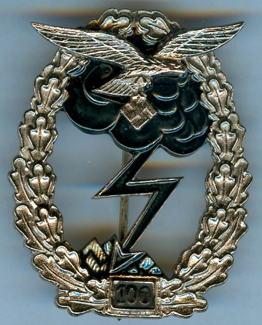 Luftwaffe Ground Combat Badge 100 Engagements