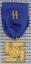 SS 25 Year Service Medal, Gold