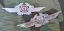 Luftwaffe Cap Wreath
