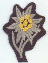 astria ascending patch astria ascending patch